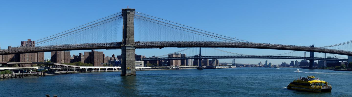 rechtop Malen Teleurgesteld Brooklyn Bridge | Dit is New York